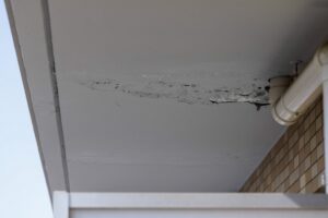 雨漏り修理は小さなシミの段階でも必要でしょうか？